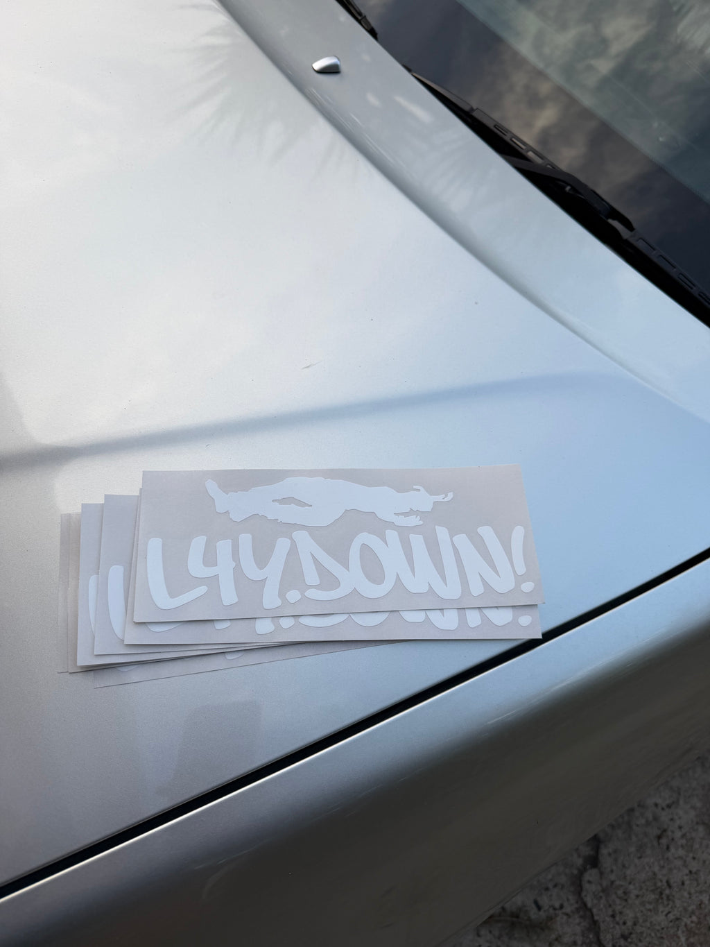 L4Y.DOWN